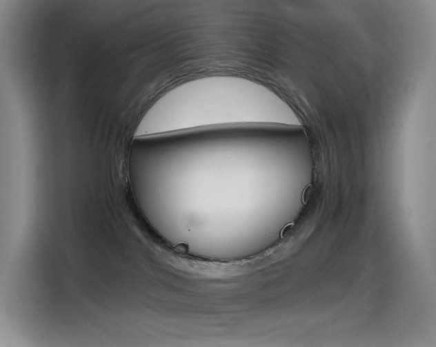 X0000114600044200910191103