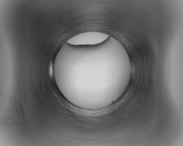 X0000114600046200910191103