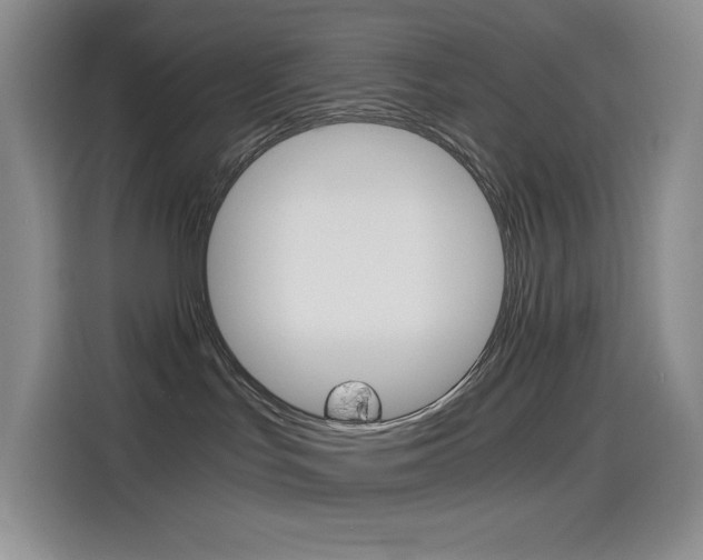 X0000114600047200910191103