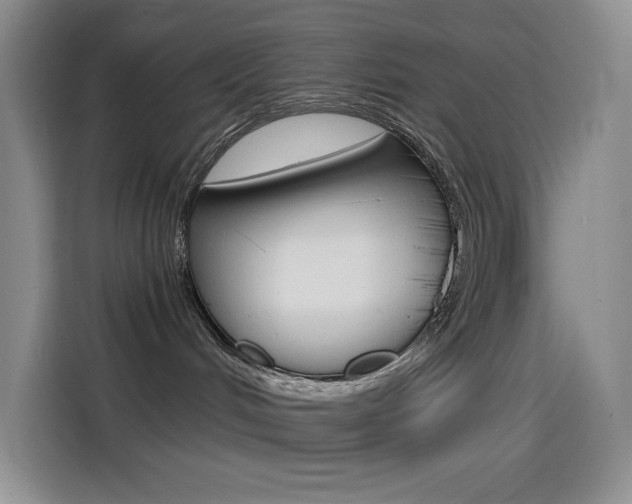 X0000114600048200910191103