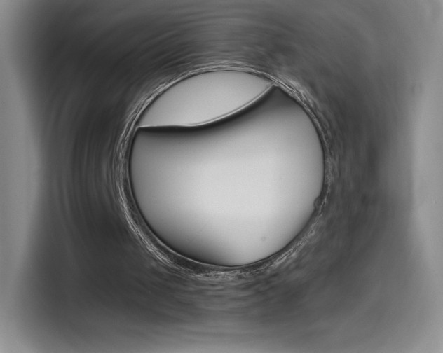 X0000114600049200910191102