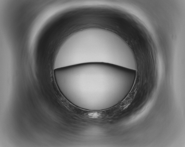 X0000114600050200910191102