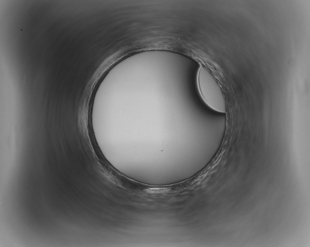 X0000114600051200910191102