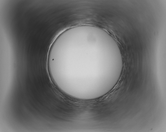 X0000114600052200910191102