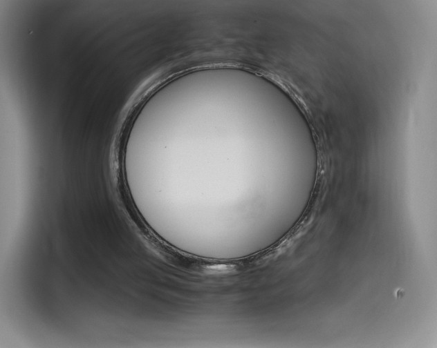 X0000114600053200910191102