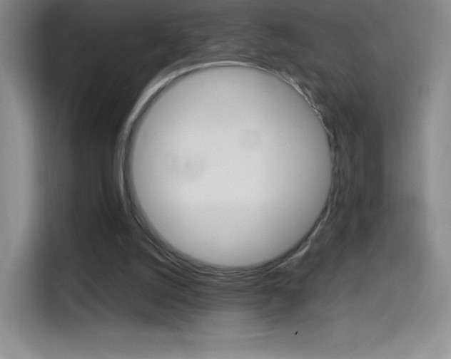 X0000114600056200910191102