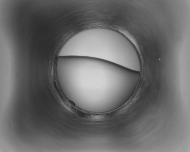 X0000114600057200910191102