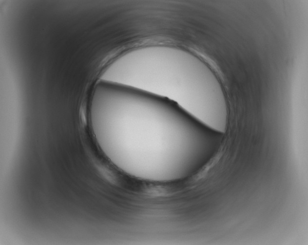 X0000114600062200910191102