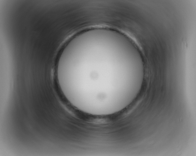 X0000114600063200910191102