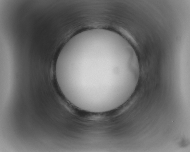 X0000114600065200910191102