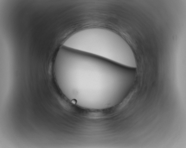 X0000114600066200910191102