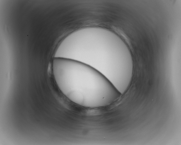 X0000114600067200910191102