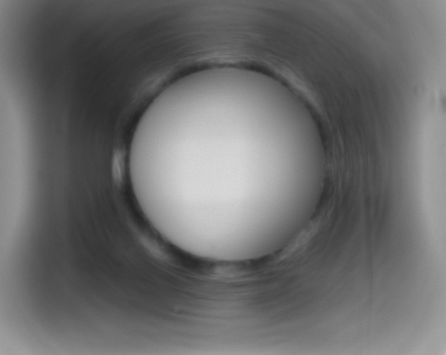 X0000114600070200910191103