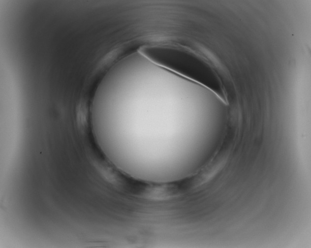 X0000114600072200910191103