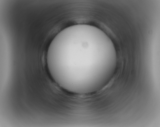 X0000114600074200910191103