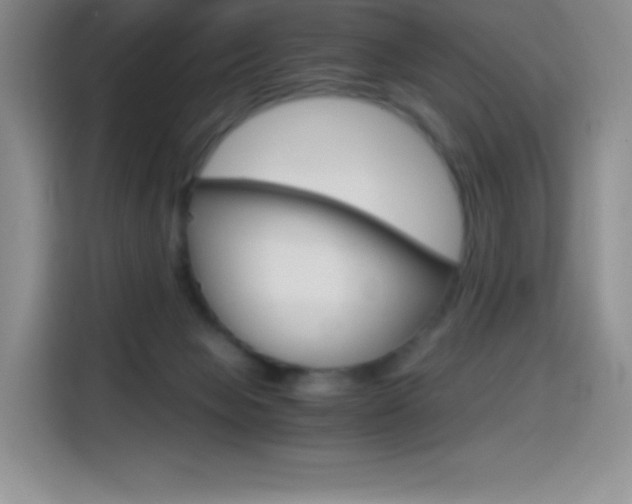 X0000114600077200910191103