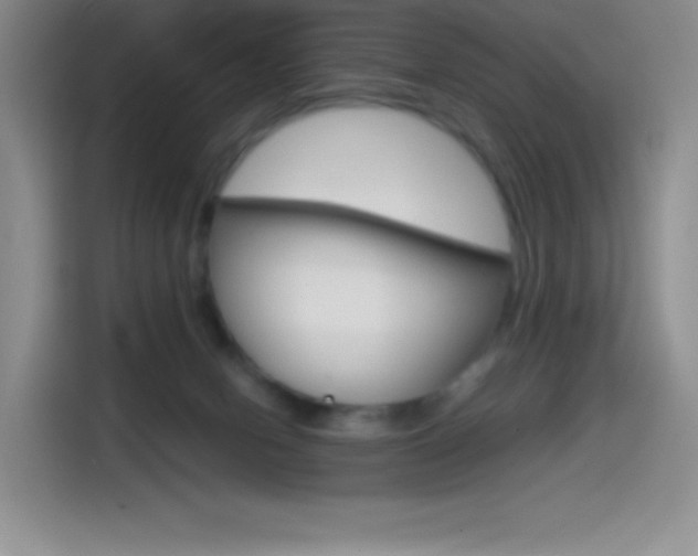 X0000114600078200910191103