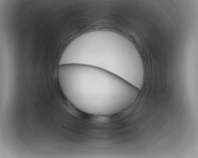 X0000114600081200910191103