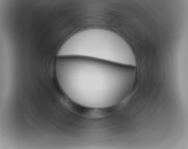 X0000114600082200910191103