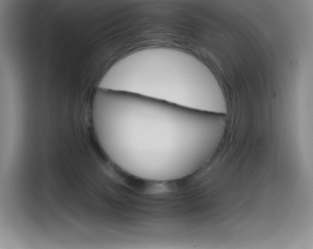 X0000114600083200910191103