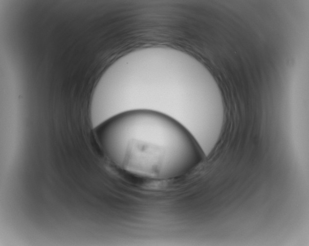 X0000114600084200910191103