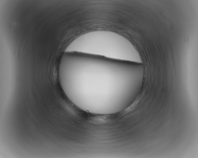 X0000114600086200910191103