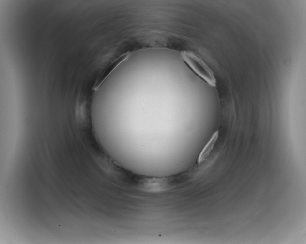 X0000114600088200910191103