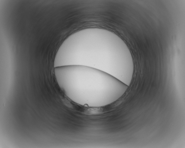 X0000114600089200910191103