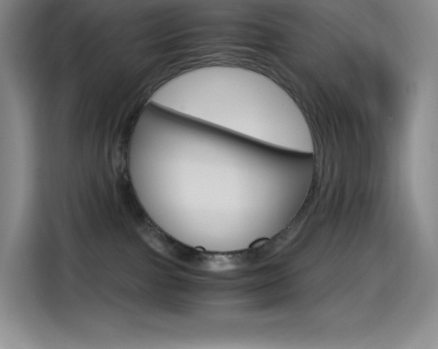 X0000114600091200910191103