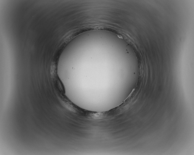 X0000114600092200910191103