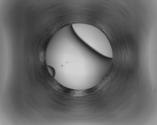 X0000114600093200910191103