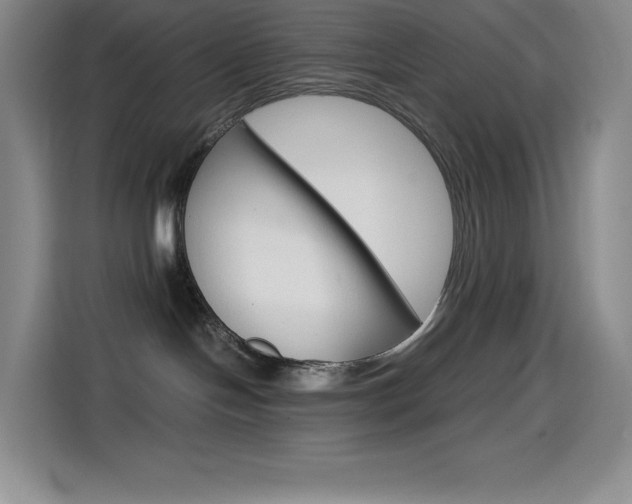 X0000114600094200910191103