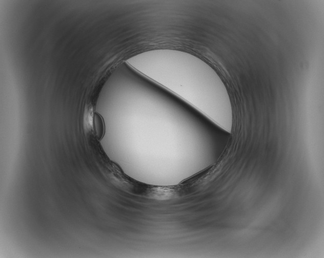 X0000114600095200910191103