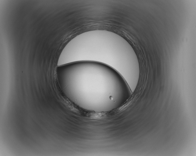 X0000114600096200910191103