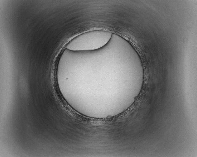 X0000114600098200910191102