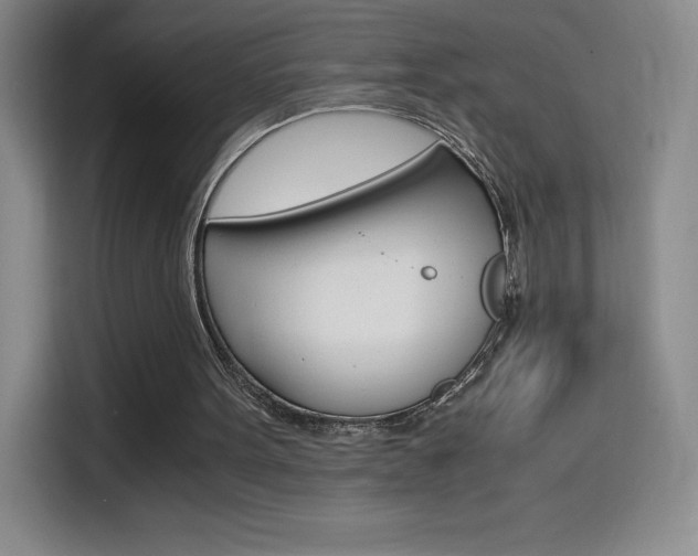 X0000114600099200910191102