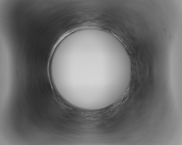 X0000114600100200910191102