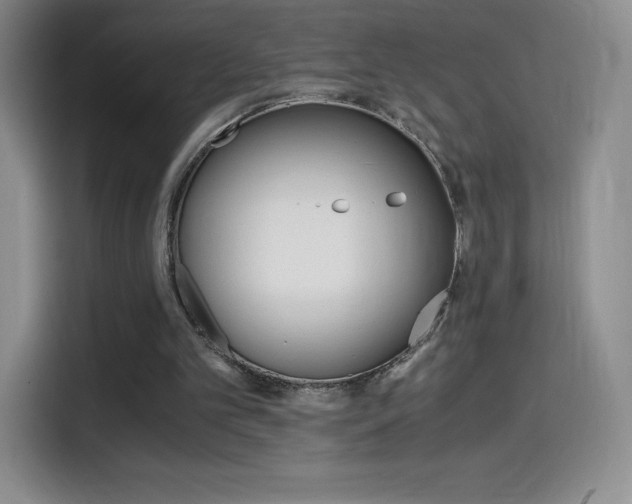 X0000114600101200910191102