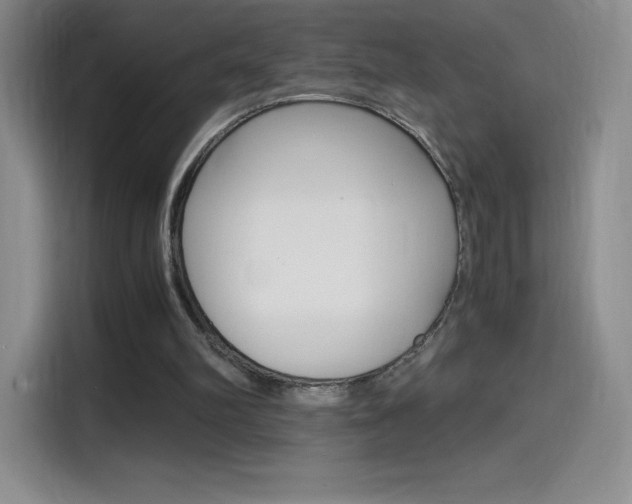 X0000114600102200910191102