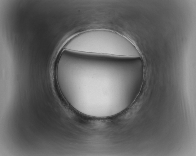 X0000114600103200910191102