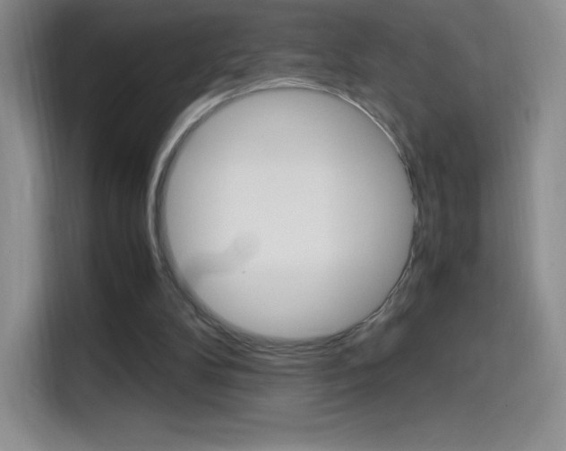 X0000114600104200910191102