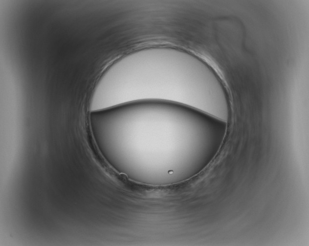 X0000114600105200910191102