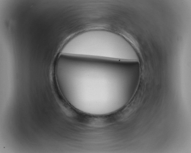 X0000114600107200910191102