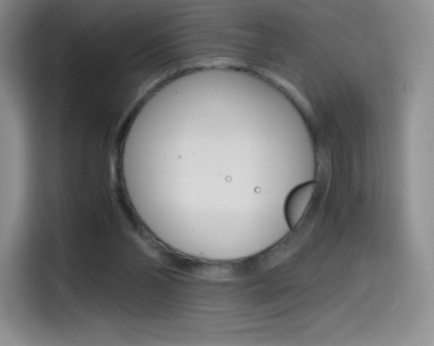 X0000114600110200910191102