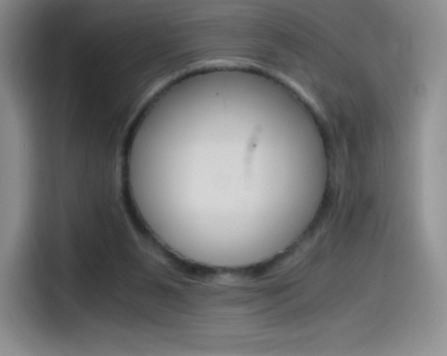 X0000114600111200910191102