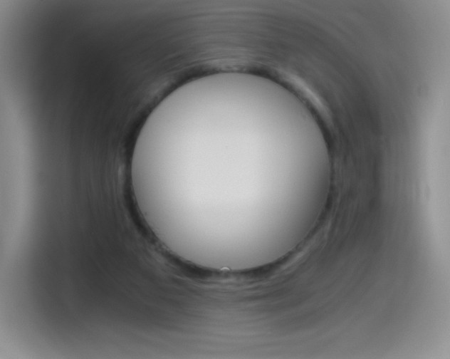 X0000114600113200910191102