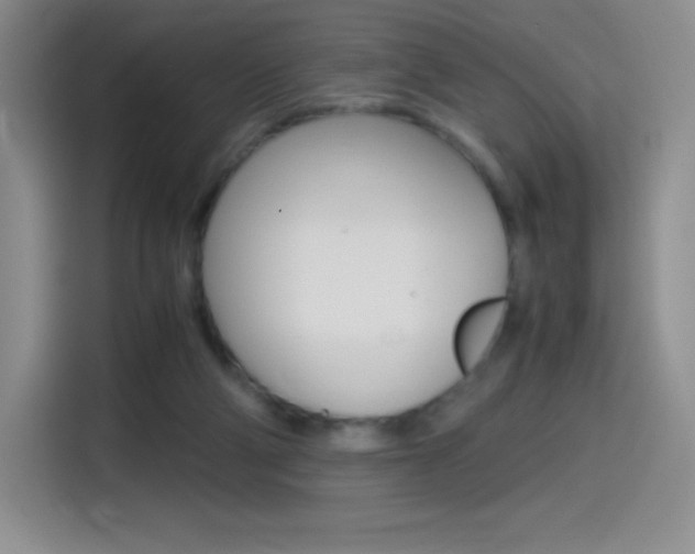 X0000114600114200910191102