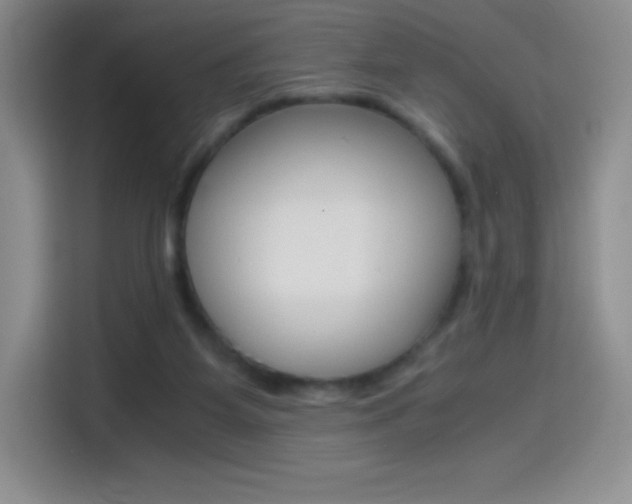 X0000114600115200910191102