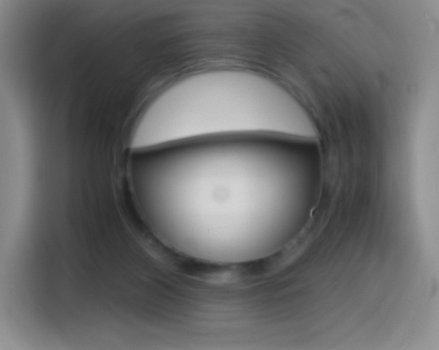 X0000114600116200910191102