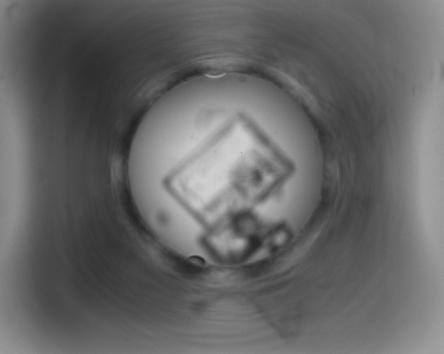 X0000114600117200910191102